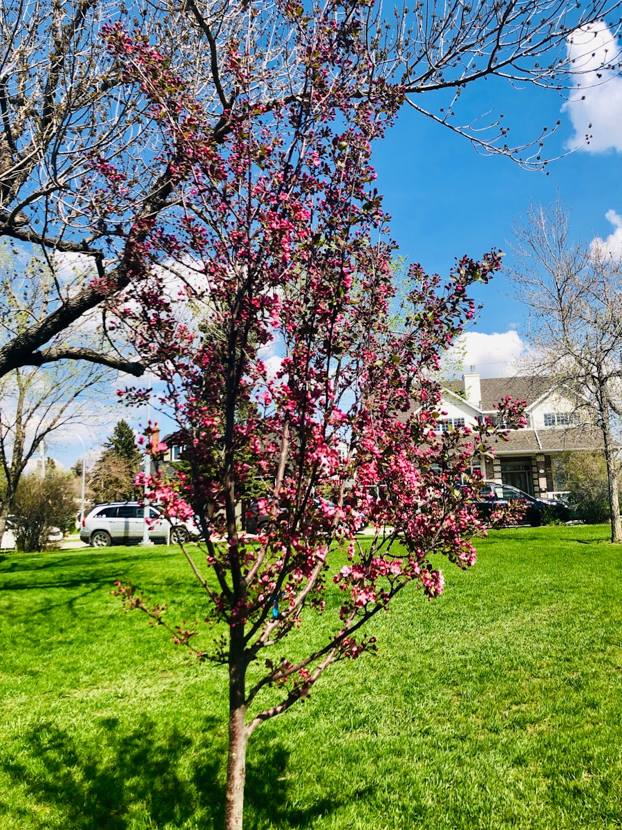 Photo The type of beauty of spring colors