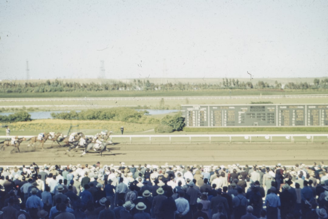 Photo horse racing