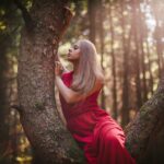 Photo red dress