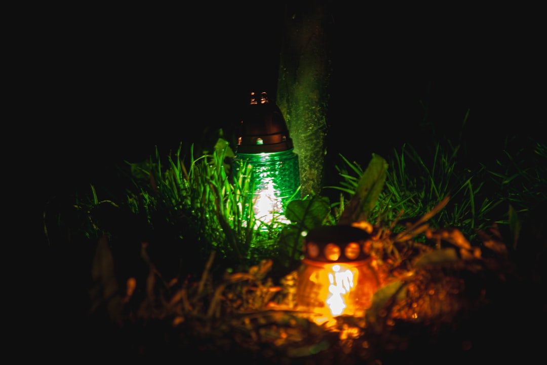 Photo all saints' day